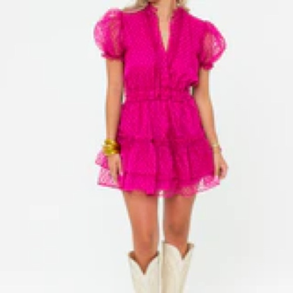 Buddy Love Pink Mini Dress